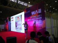 2017�й�(�人)����չ��Ļʽ��չ���ֳ�ͼƬ34