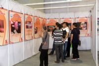 2015�������Ļ���6�տ�Ļ����ݷḻͼƬ29