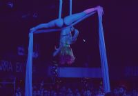 ��2017����͢����չ�����������������ͼƬ27