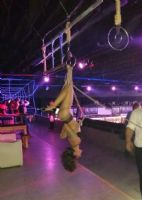 ��2017����͢����չ�����������������ͼƬ31