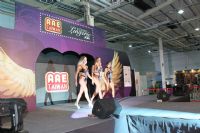 2012̨�����޳��˲�������������������ͼƬ25