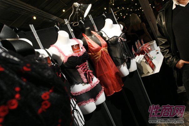 2009���ô��������˹����չETWS�ֳ�����ͼƬ3