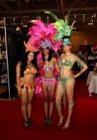 2011���ô����Ǽ����ٲ��ǳ���չETWS�ֳ�����ͼƬ23