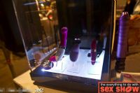 2012���ô��������˹����չETWS�ֳ�����ͼƬ2