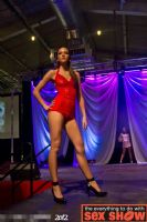 2012���ô��������˹����չETWS�ֳ�����ͼƬ31