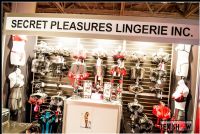 2012���ô���׶����չETWS�ֳ�����ͼƬ1