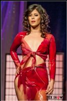 2012���ô���׶����չETWS�ֳ�����ͼƬ41