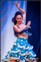 2012���ô���׶����չETWS�ֳ�����ͼƬ48