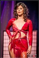 2012���ô���׶����չETWS�ֳ�����ͼƬ51