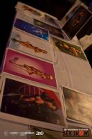 2013���ô��������˹����չETWS�ֳ�����ͼƬ21