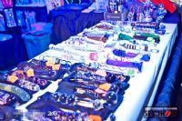 2013���ô��������˹����չETWS�ֳ�����ͼƬ1