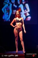 2013���ô��������˹����չETWS��Ȥ������ͼƬ70