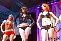 2013���ô��������˹����չETWS��Ȥ������