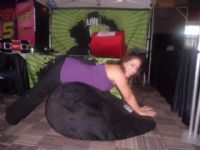 2012���ô��������˹����չETWS�������ƴ���ͼƬ27