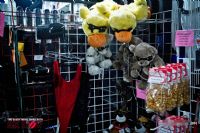 2014���ô��������˹����չETWS�ֳ�����ͼƬ30