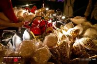 2014���ô��������˹����չETWS�ֳ�����ͼƬ57