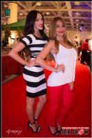 2013���ô���׶����չETWS�ֳ�����ͼƬ30