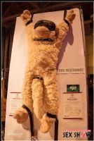 2013���ô���׶����չETWS�ֳ�����ͼƬ33