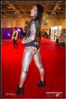 2013���ô���׶����չETWS�ֳ�����ͼƬ38