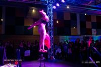 2014���ô��������˹����չETWS���ʱ���ͼƬ35