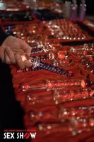 2016���ô��������˹����չETWS���ʼ���ͼƬ21