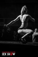 2016���ô��������˹����չETWS���ʼ���ͼƬ25