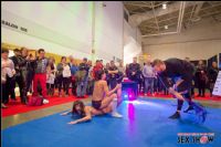 2016���ô���׶����չETWS���ʱ���ͼƬ29