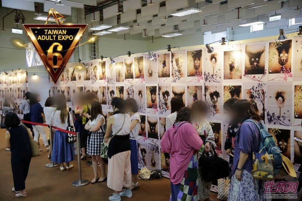 2017第六届台湾成人博览会报道―第三天图片13