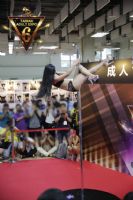 2017������̨����˲����ᱨ�����ڶ���ͼƬ25