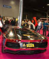 2012����eXXXotica����������չ�ֳ�����(2)ͼƬ31