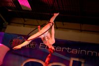 2011����eXXXotica����������չչ�ᱨ��ͼƬ50