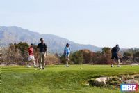 �߶�����11