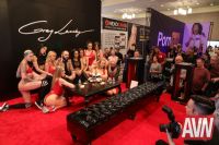 2018��˹ά��˹����չ�������ֳ�