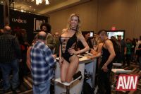 2018��˹ά��˹����չAVNShow-����Ӱ��