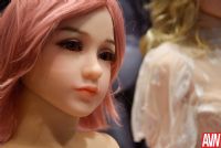 ��ϵ����������