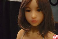 ��ϵ����