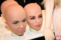 ���޿ɶ��Ʋ�ͬ���͡���ɫ����ò