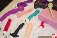 18��˹ά��˹����չAVN����Ʒչʾ (20)