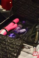 18��˹ά��˹����չAVN����Ʒչʾ (25)