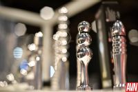 18��˹ά��˹����չAVN����Ʒչʾ (28)