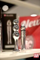 18��˹ά��˹����չAVN����Ʒչʾ (27)