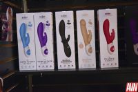 18��˹ά��˹����չAVN����Ʒչʾ (36)