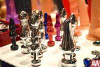 18��˹ά��˹����չAVN����Ʒչʾ (72)