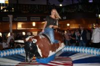 ��ŵ������չeroFame��ơ�ƽ� (18)