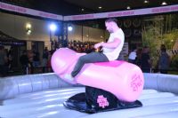 ���ֳ���չVENUS��չ���ֳ� (40)