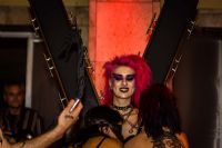 ���ֳ���չVENUS�����ʻ (21)