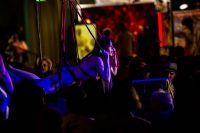 ���ֳ���չVENUS�����ʻ (22)