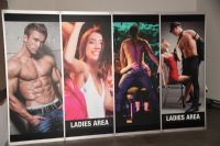 ���ֳ���չVENUS�����ʻ (26)