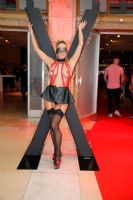 ���ֳ���չVENUS�����ʻ (31)