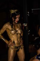 ���ֳ���չVENUS���������� (17)